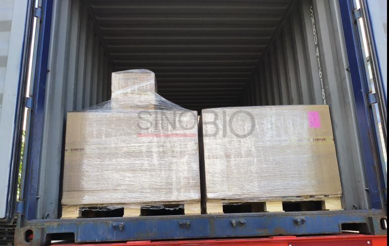 Vanillin (CAS 121-33-5): Ein Premium-Lebensmittelzusatzstoff für außergewöhnlichen Geschmack