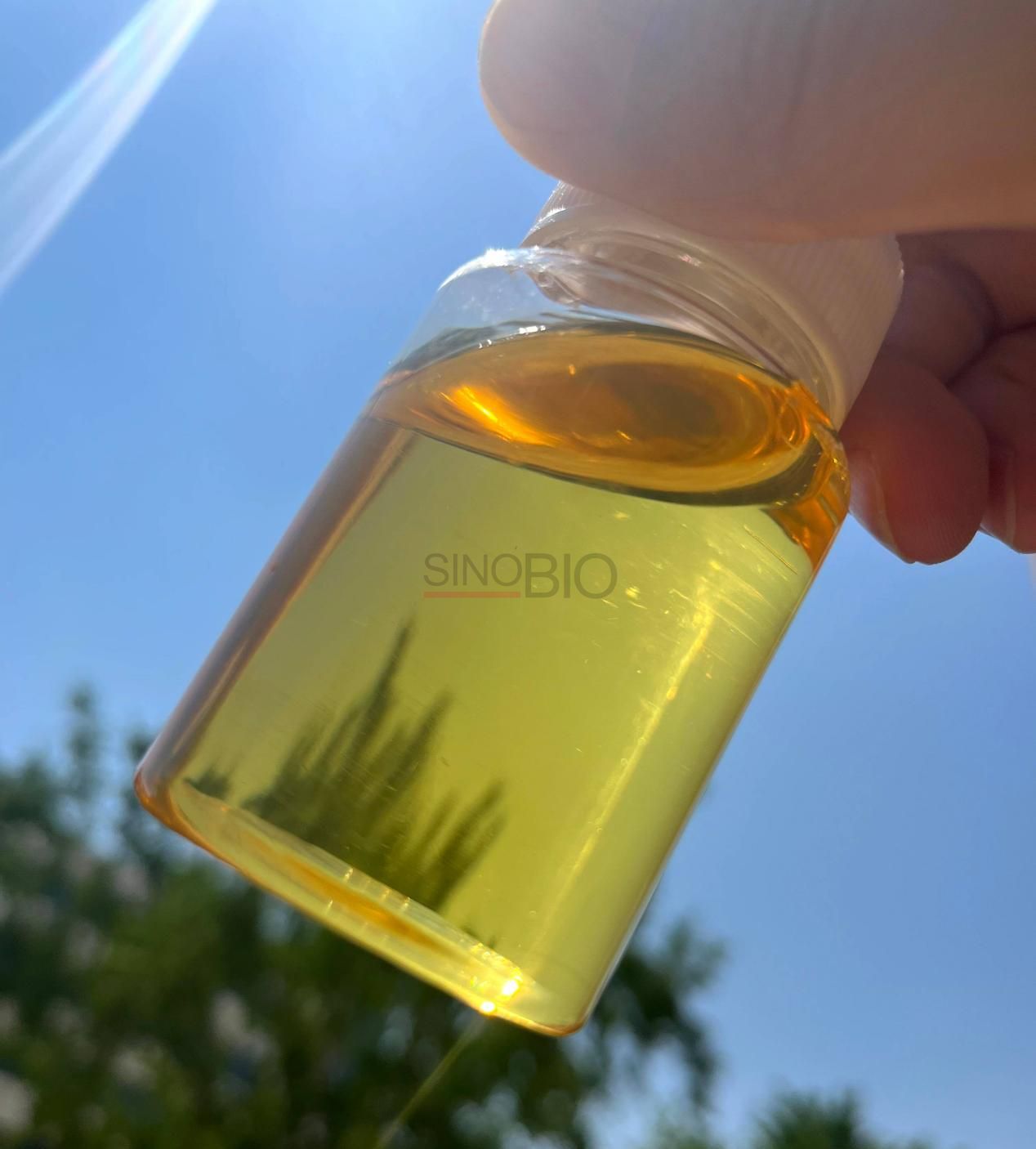 PIBSA (Polyisobutenylbernsteins&auml;ureanhydrid) (2)