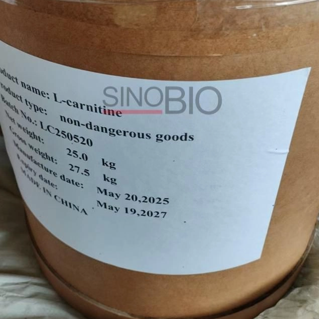 L-Carnitin-Pulver in Lebensmittelqualität aus China für Energy-Drinks und Snacks