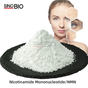 Großhandel Bulk Anti-Aging Supplements Pulver β-Nicotinamid Mononukleotid 99,9% NMN CAS 1094-61-7