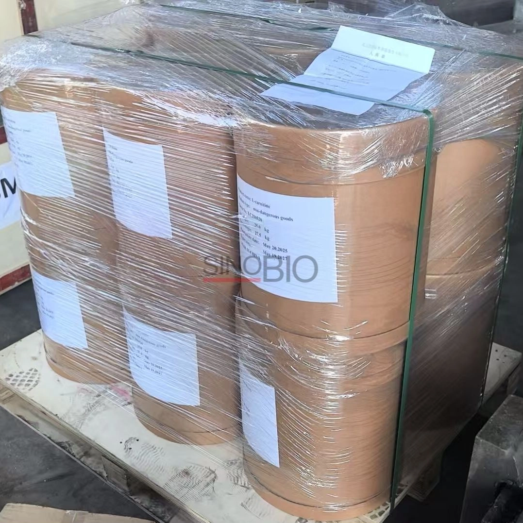 L-Carnitin-Pulver in Lebensmittelqualität aus China für Energy-Drinks und Snacks