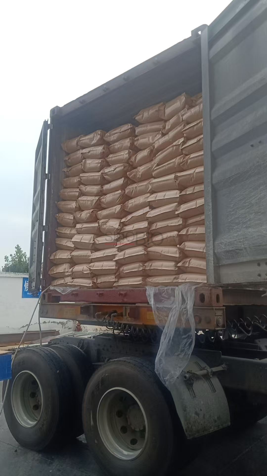 Calciumlactat-Paket (1)